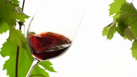Tasting red wine Stock Footage 116173280