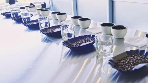 Tasting of various types of coffee. Stock Footage 142303978