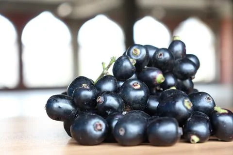 Tasty and healthy black java plum stock Foto stock