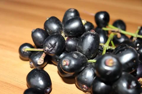 Tasty and healthy black java plum stock Fotos de archivo