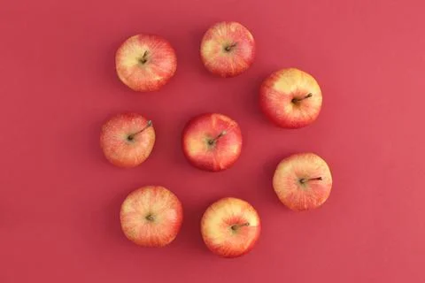 Tasty apples Stock Photos