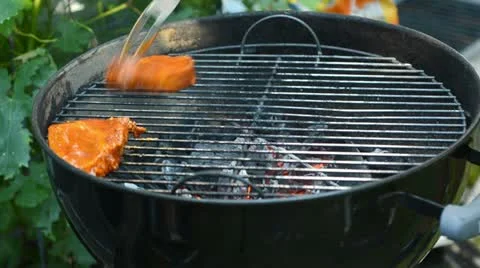 Tasty bbq 스톡 동영상 11408991