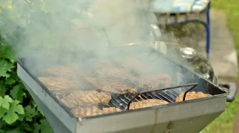 Tasty bbq Vídeos de archivo 11409030