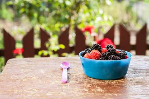 Tasty berries on the table Stock Photos