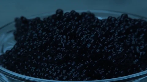 Tasty black caviar 動画素材 81272161