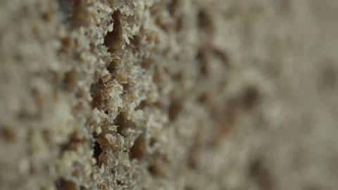 Tasty bread made of rye flour 4K video Stock Footage 171591199