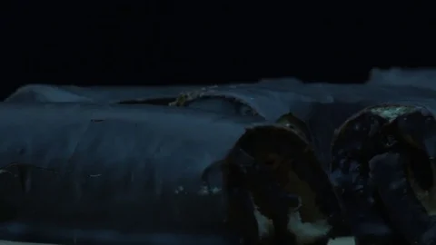 Tasty cake rolls Stock-Footage 83161833