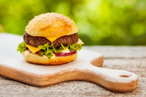 Tasty cheeseburger Stock Photos