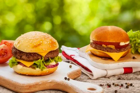 Tasty cheeseburger Stock Photos