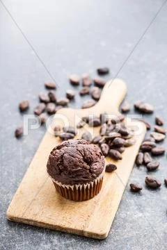 The tasty chocolate muffin and cocoa beans. Stock Photos