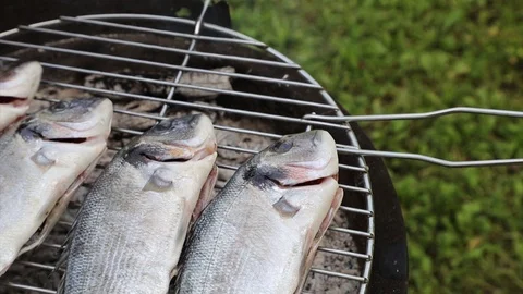 Tasty fish on grill Stock Footage 109564684