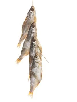 Tasty fish on a rope vertically Foto stock