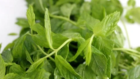 Tasty Fresh mint isolated on white background Stock Footage 316544751