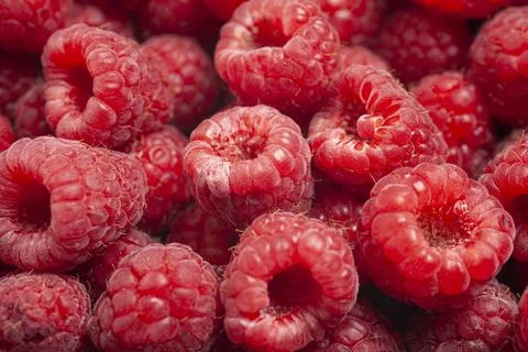 Tasty fresh raspberry as background Photos