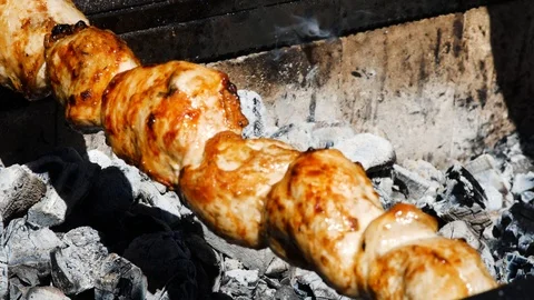 Tasty grilled meat on the fire Stock Footage 88676684