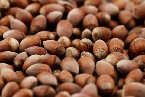 Tasty hazelnuts, close up Stock Photos