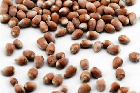 Tasty hazelnuts, close up Stock Photos
