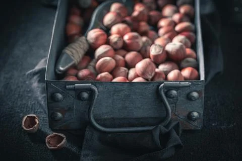 Tasty hazelnuts on dark table. Source of minerals. Stock Photos