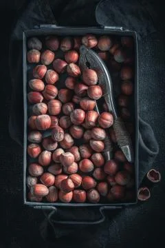 Tasty hazelnuts with a old metal nutcracker Stock-Fotos