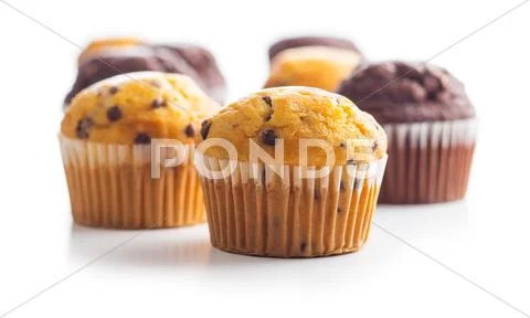 The tasty muffins with chocolate. Stock Photos