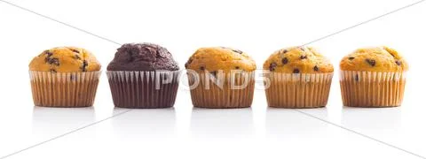 The tasty muffins with chocolate. Stock Photos
