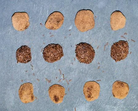 Tasty Top view making an horizontal flag of chocolate truffles with filling c Stock Photos