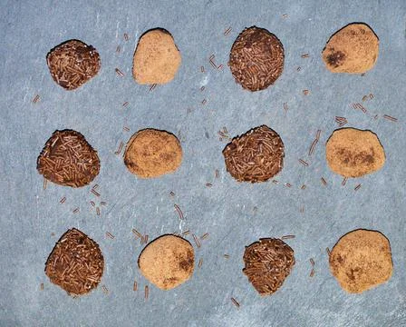 Tasty Top view making a vertical flag of chocolate truffles with filling choc Stock Photos