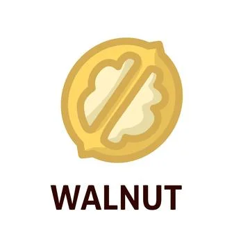 Tasty walnut on white background Stock Illustration