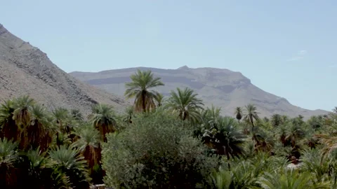  Tata South of Morocco  Video stock 137020092