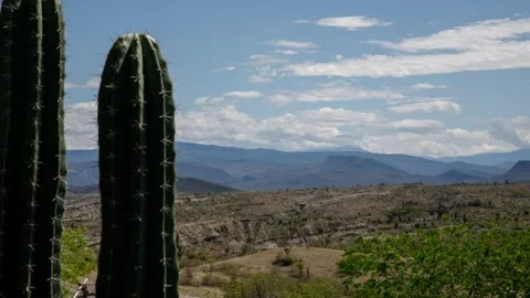 Tatacoa desert Video stock 291748244