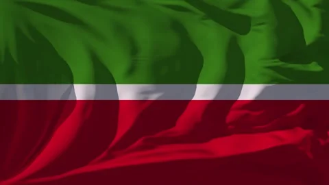 Tatarstan Flag Loop Stock Footage 295742361