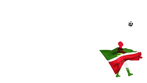 Tatarstan soccer player kicks  through himself Stock Footage 108858324