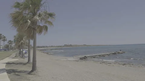 Tatic shot of flat log footage of sea coast promenade with palm trees Stock Footage 336617552