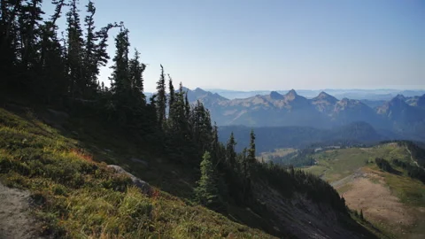 Tatoosh Range Peaks and Subalpine Firs in Mount Rainier National Park. Vídeo Stock 343761550