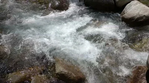 Tatra mountain stream with a strong current, Slovakia Stock Footage 203727208