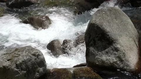 Tatra mountain stream with a strong current, Slovakia Stock Footage 203728136
