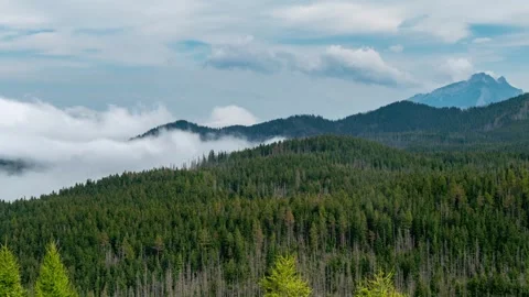 Tatra Mountains and Forest with Moving Clouds - Summer Day Scenic Video stock 282129804