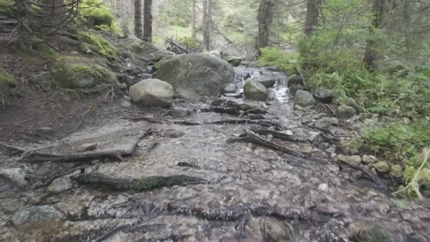 Tatras Mountain Stream Flow, Cinematic Nature 4K Stock Footage 318416802