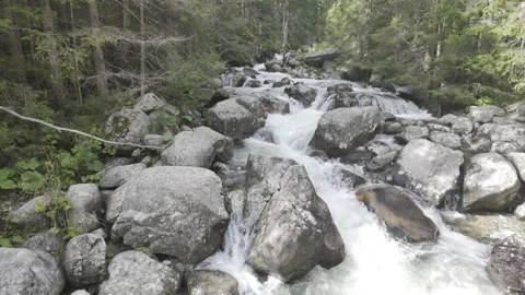 Tatras Mountain Stream Flow, Cinematic Nature 4K Stock Footage 318416842