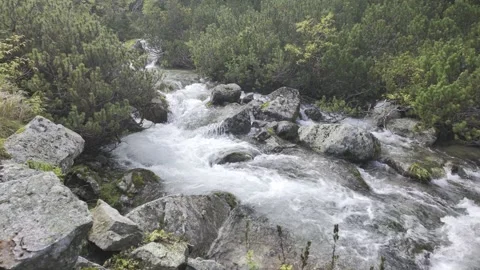 Tatras Mountain Stream Flow, Cinematic Nature 4K Stock Footage 318416847