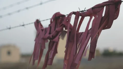Tattered cloth on barbed wire Stock Footage 87760284