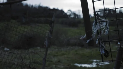 Tattered Metal String Of The Broken Gate Surrounded The Green Lawn In Stockbeeldmateriaal 126535355