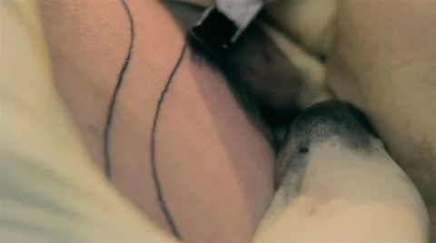 Tattoo on a hand Stock Footage 54660063