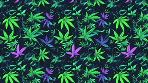 Tattoo Hemp Sweep – Horizontal Motion Stock Footage 306474072