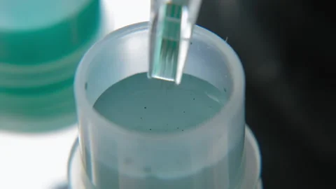 Tattoo ink in small jars Stock Footage 195962083