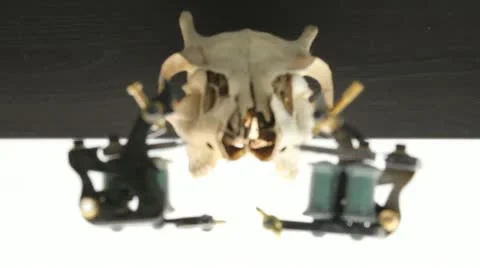 Tattoo Machines Skull Stock Footage 12310202