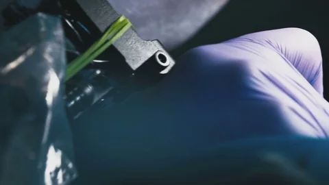 Tattoo master tattooing close-up Stock Footage 73151522