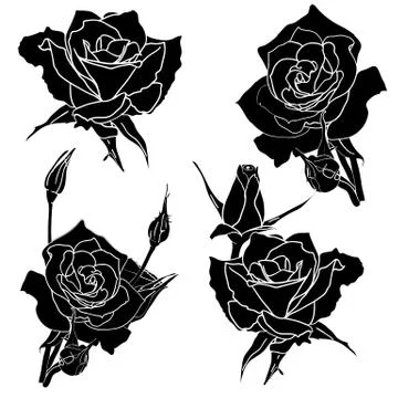 Tattoo rose flower Stock Illustration