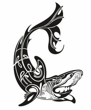 Tattoo shark designn white backgroundVector llustration. Stock Illustration
