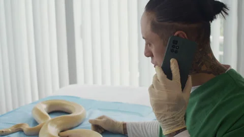 Tattooed Herpetologist Talking on Smartphone while Touching Albino Python Stock Footage 304536526